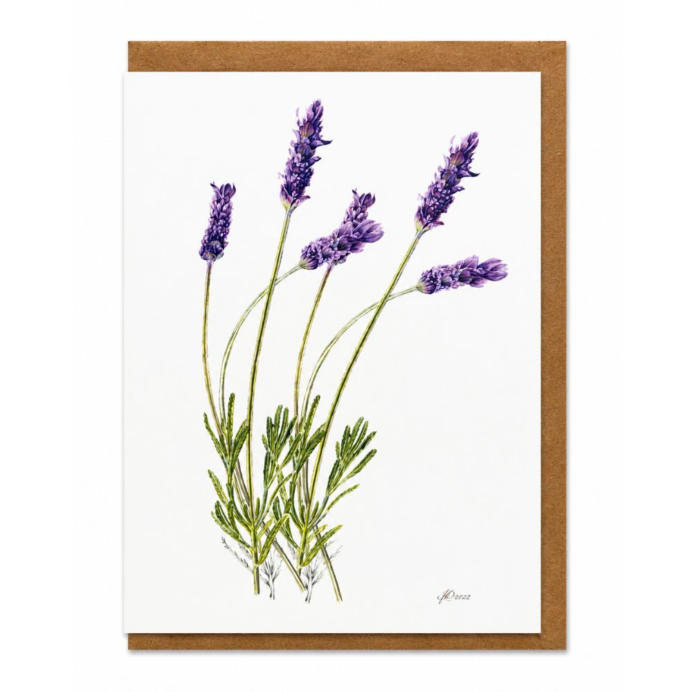 Lavender Botanical Greeting Card