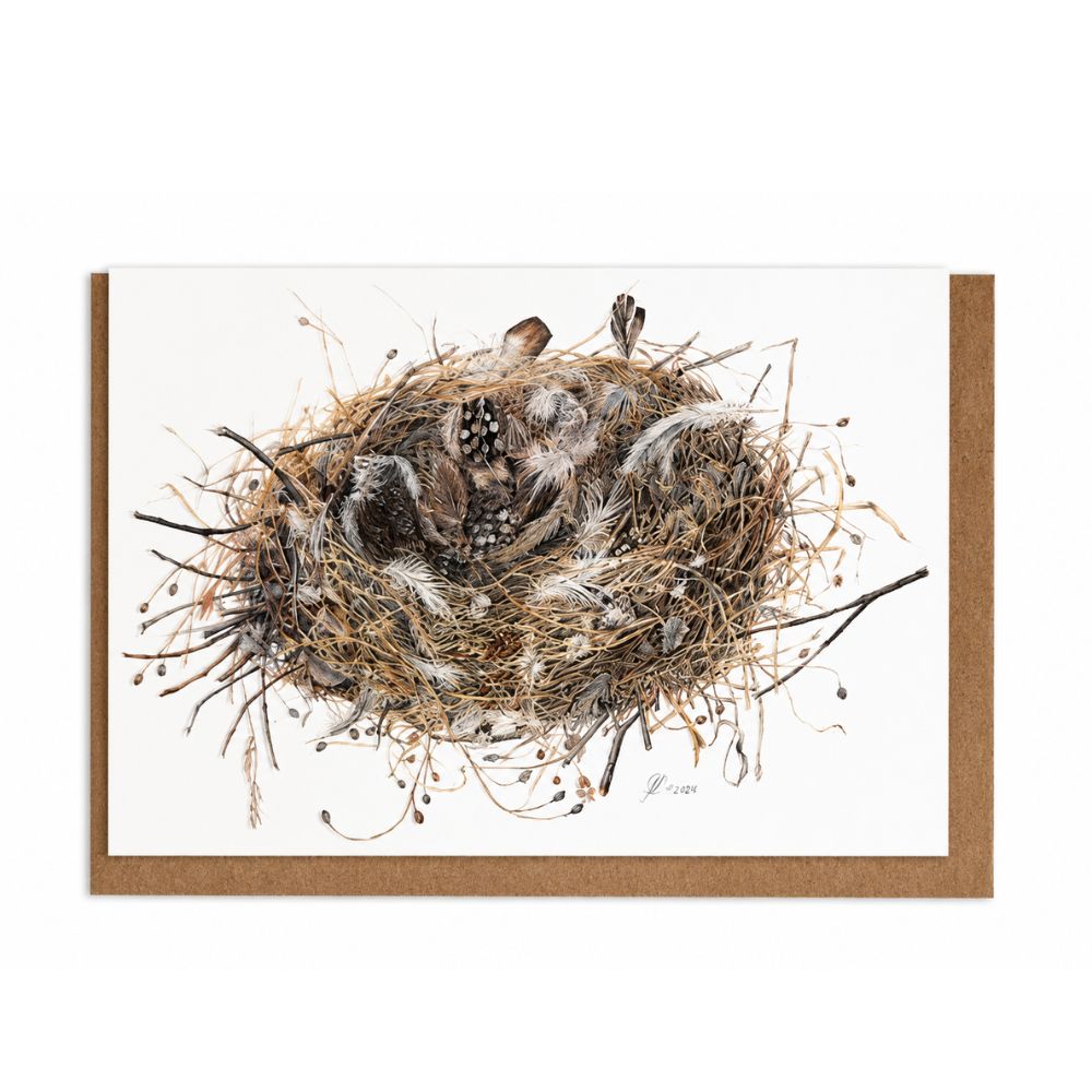 Bird's Nest Botanical Greeting Card