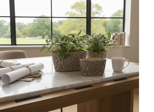 Eclectic antique oval cement herb planters with intricate scrollwork and weathered finish on a marble kitchen table.