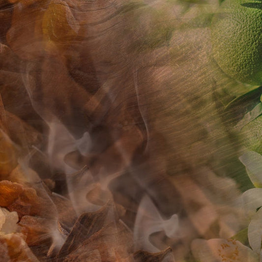 Eclectic Dr. Vranjes Oud Nobile room spray fragrance notes featuring abstract wood, smoke, and bergamot textures.