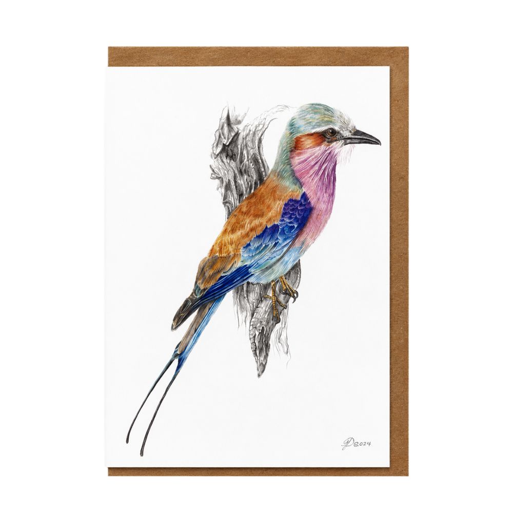 Lilac-breasted Roller Greeting Card