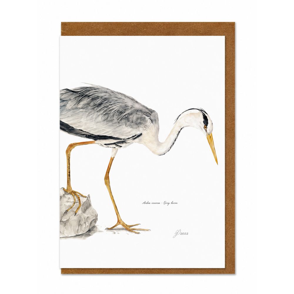 Grey Heron Wildlife Greeting Card