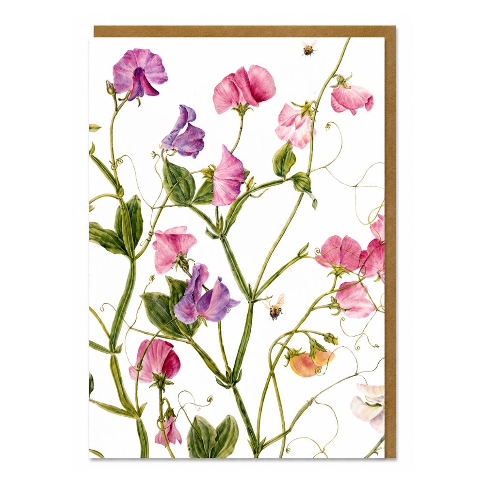 Sweet Pea Botanical Greeting Card