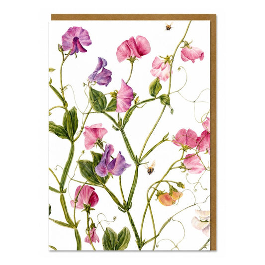 Sweet Pea Botanical Greeting Card