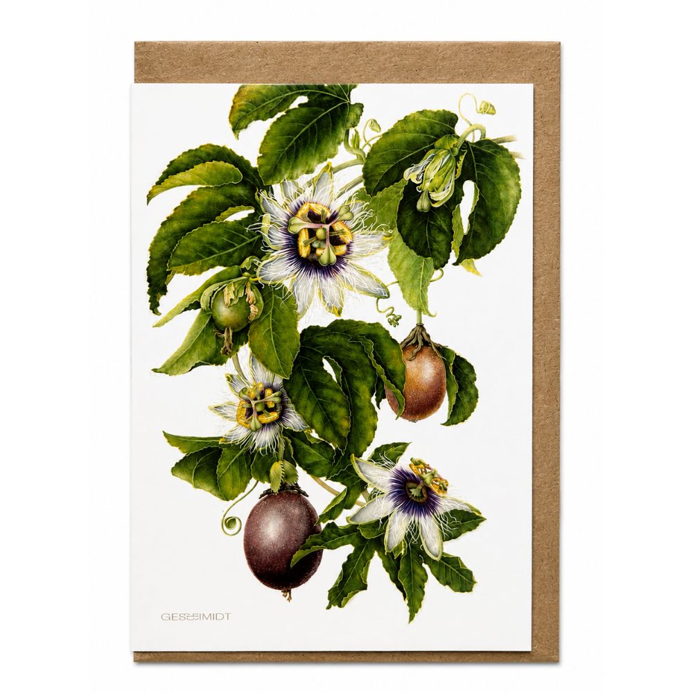 Passion Flower Botanical Greeting Card