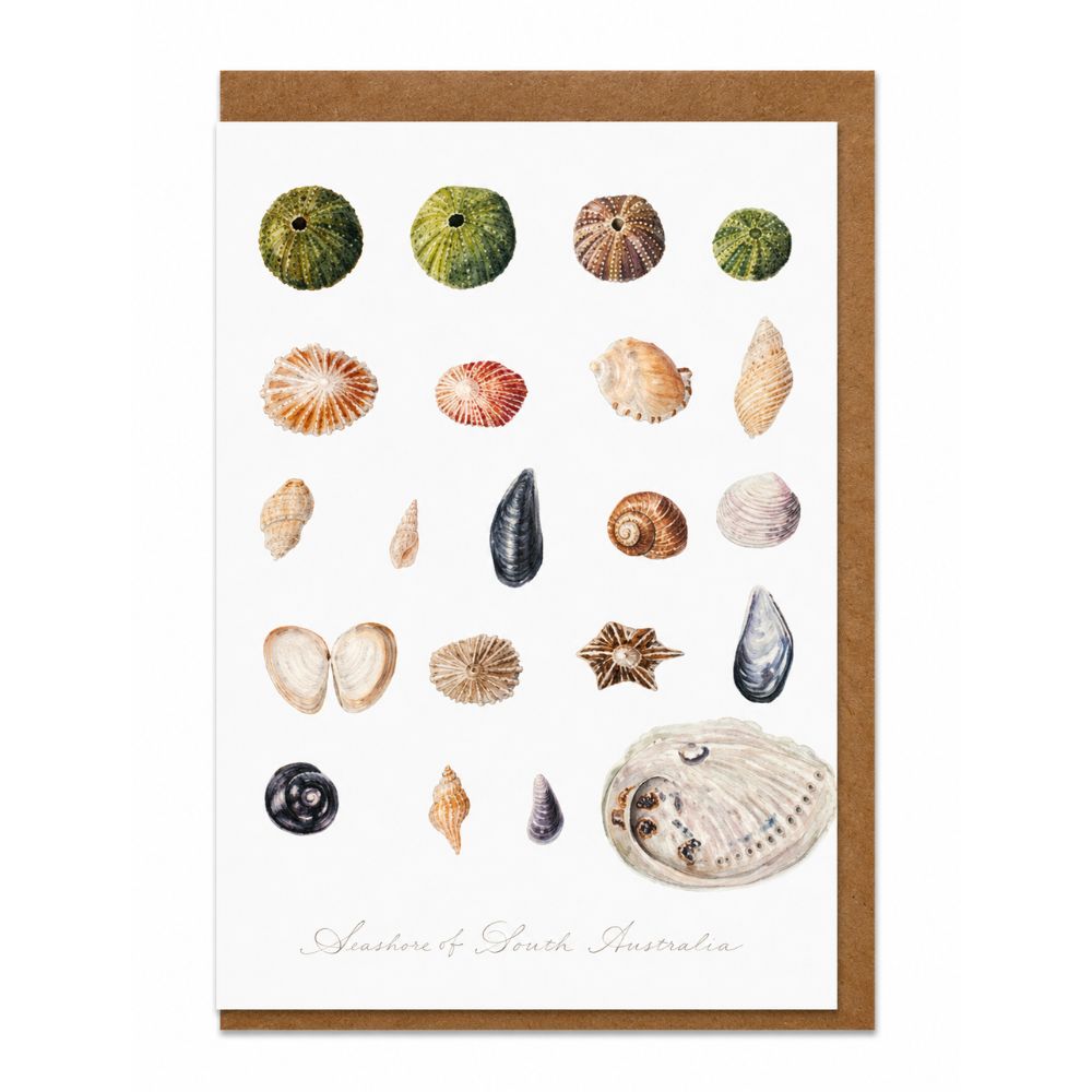 Seashore Of South Australia Greeting Card