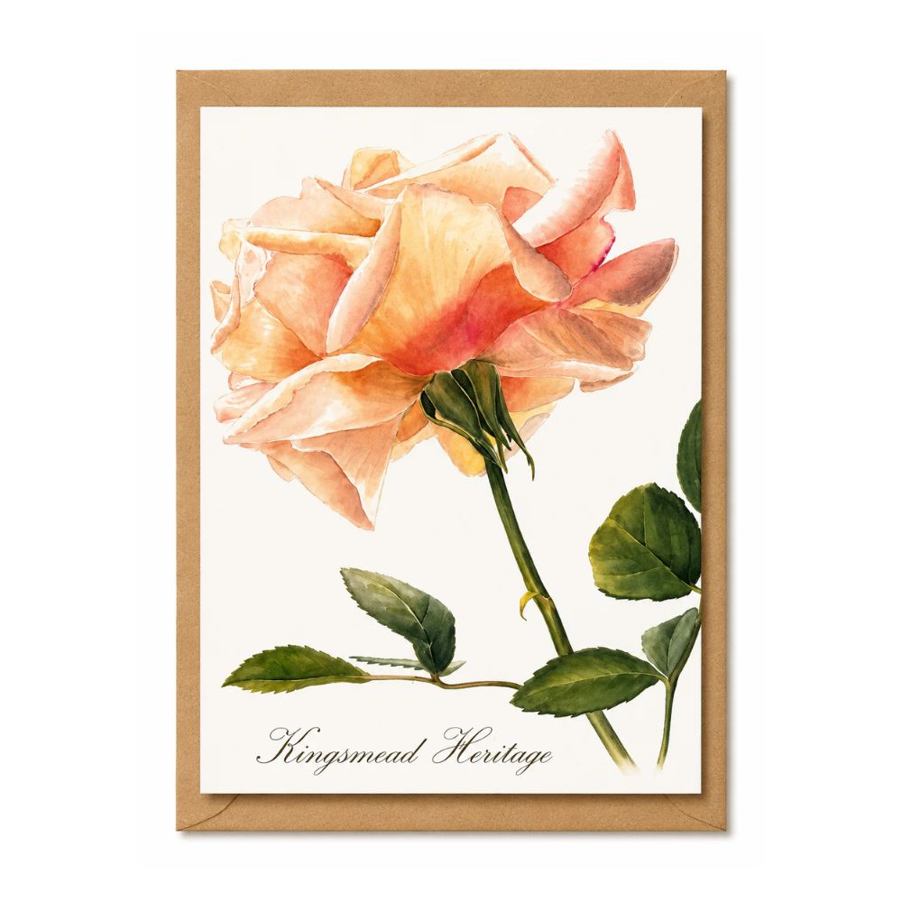 Kingsmead Heritage Rose Greeting Card