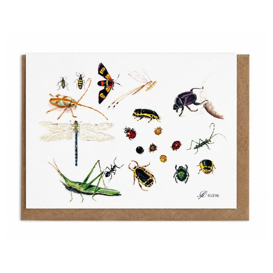 Insects Of The Garden Greeting Card