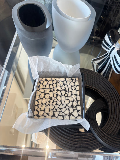 African Ostrich Shell Coasters set