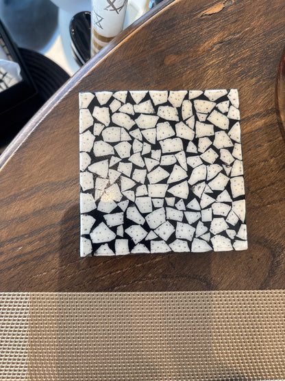 African Ostrich Shell Coasters set