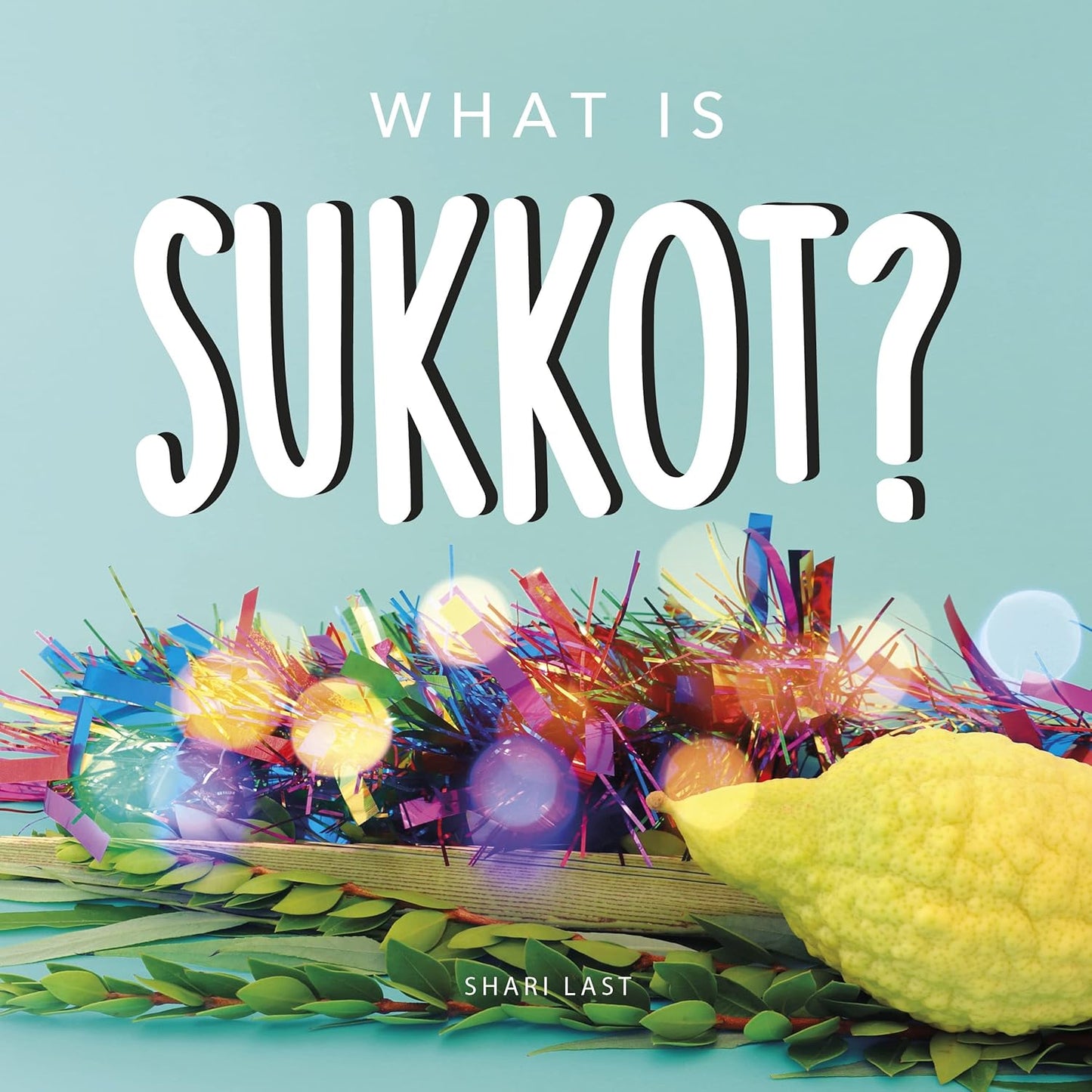 Sukkot - Danke Judaica - book