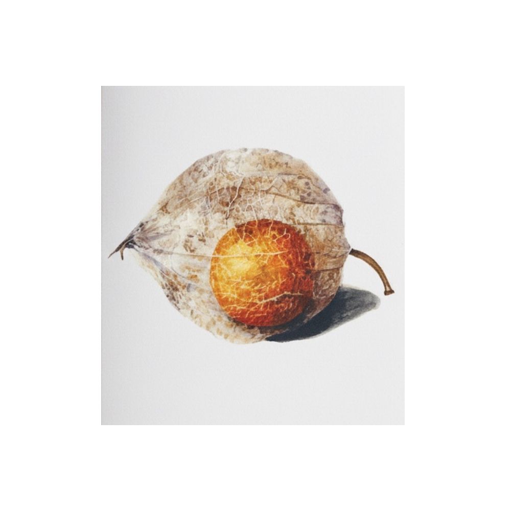 Physalis Mini Greeting Card