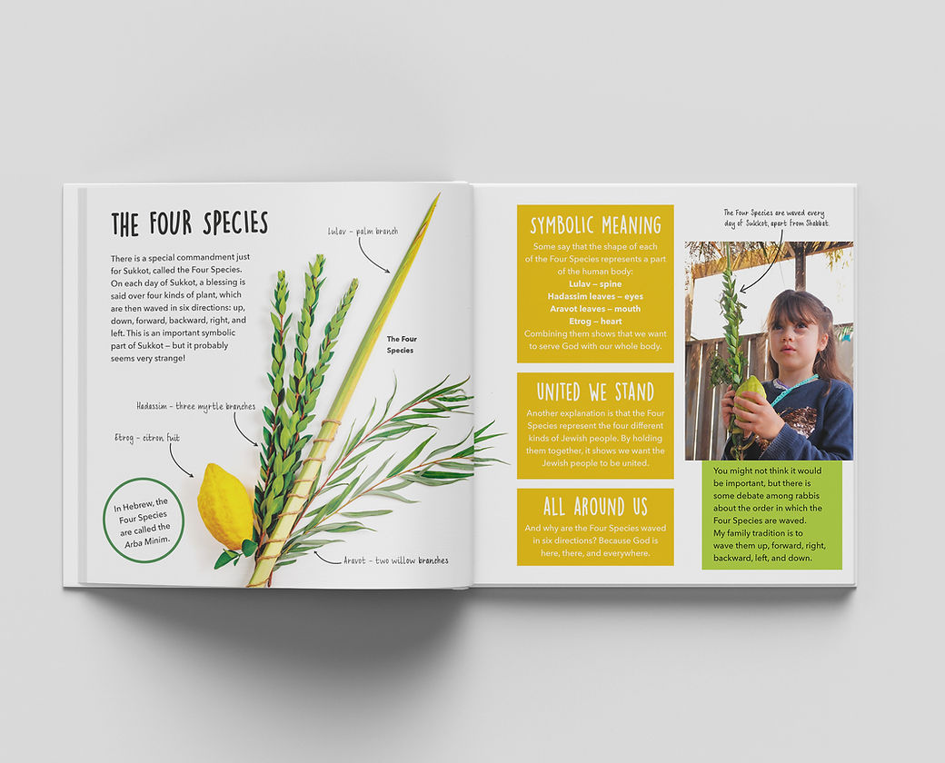 Sukkot - Danke Judaica - book - view 5