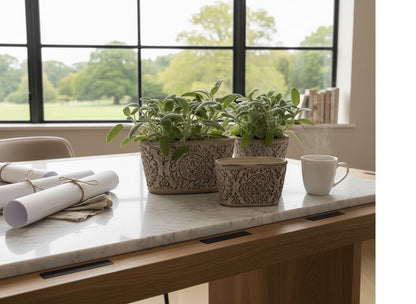Eclectic antique oval cement herb planters with intricate scrollwork and weathered finish on a marble kitchen table.