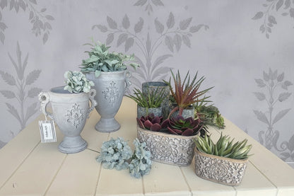Eclectic antique oval cement herb planter with intricate scrollwork and distressed finish on a white wooden table