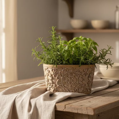 Eclectic antique oval cement herb planter with intricate scrollwork and distressed finish holding fresh green herbs.