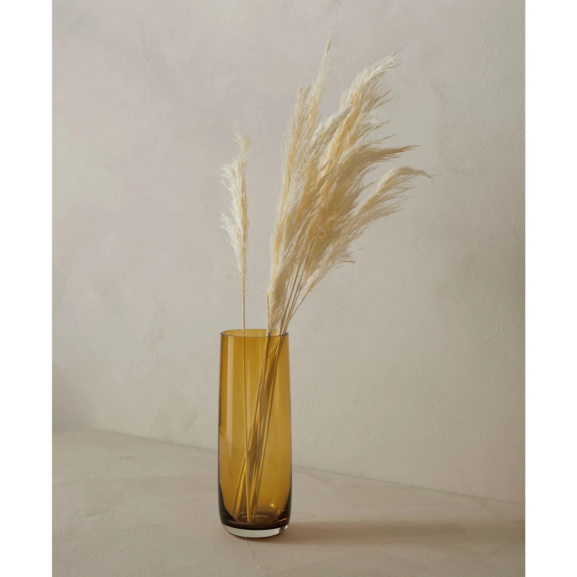 Eclectic ASA Selection Ajana amber mouth-blown glass vase with tall cylindrical shape holding dried pampas grass.