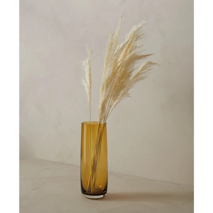 Eclectic ASA Selection Ajana amber mouth-blown glass vase with tall cylindrical shape holding dried pampas grass.