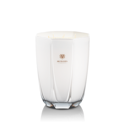 Eclectic Dr. Vranjes Ginger Lime scented candle in a luxurious pearl-coloured glass vase with multiple wicks.
