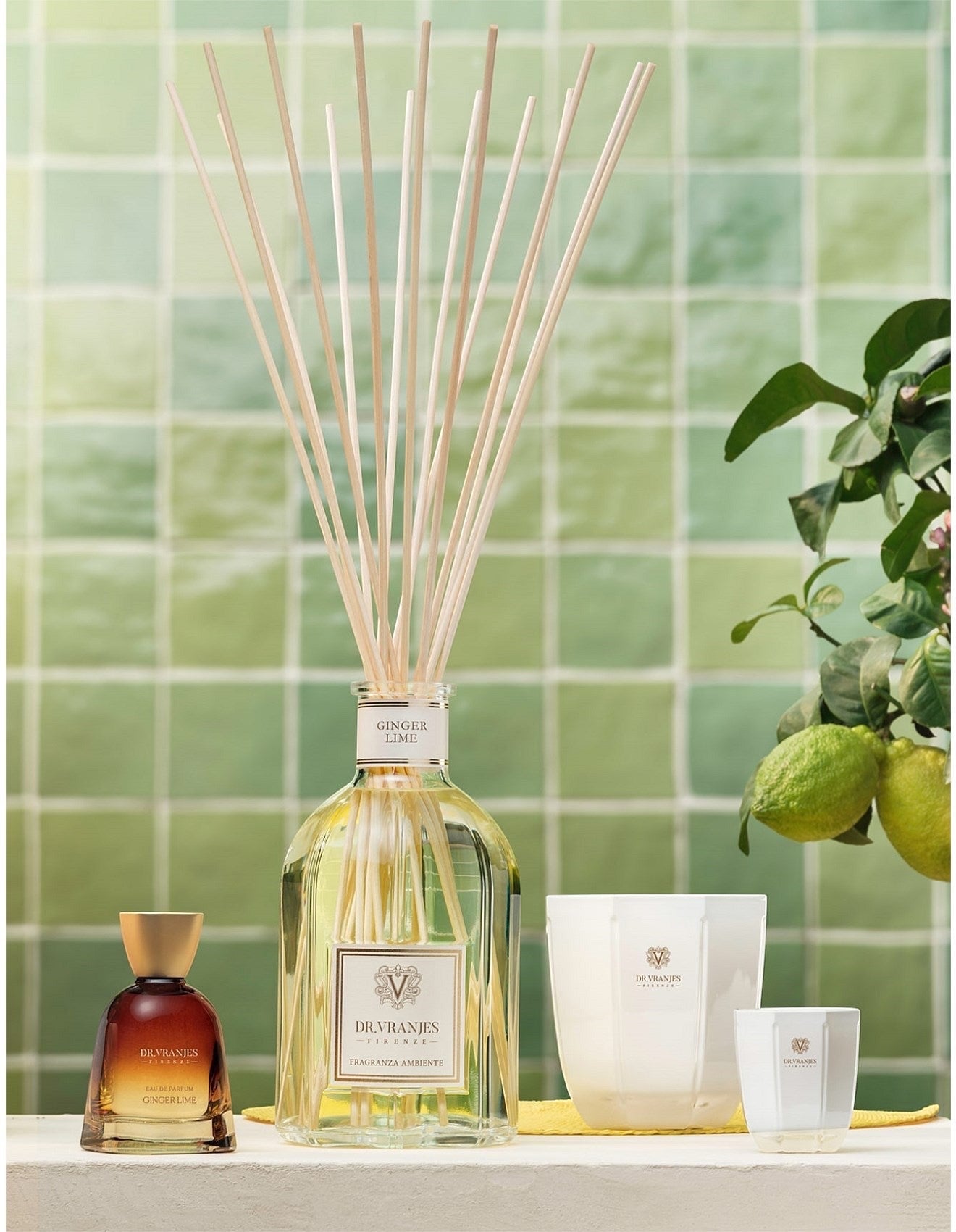 Eclectic Dr. Vranjes Ginger Lime fragrance collection featuring a reed diffuser, perfume bottle, and pearl candles.
