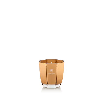 Eclectic Dr. Vranjes Oud Nobile scented candle in a luxurious gold-coloured glass vase on a black background.
