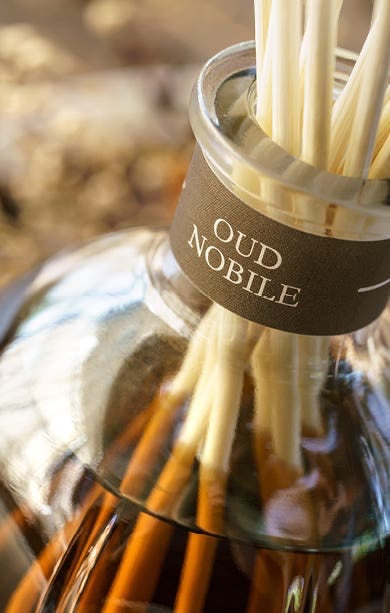 Eclectic Dr Vranjes Oud Nobile reed diffuser in a glass bottle with natural sticks for home fragrance.