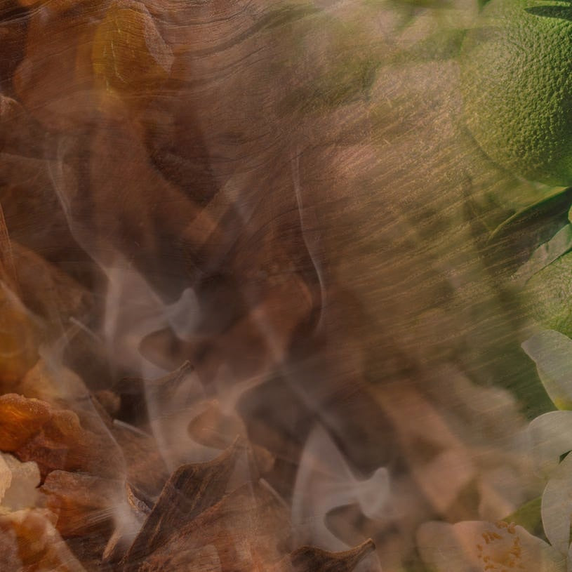 Eclectic Dr Vranjes Oud Nobile reed diffuser fragrance abstract with smoky wood, amber, and bergamot textures.