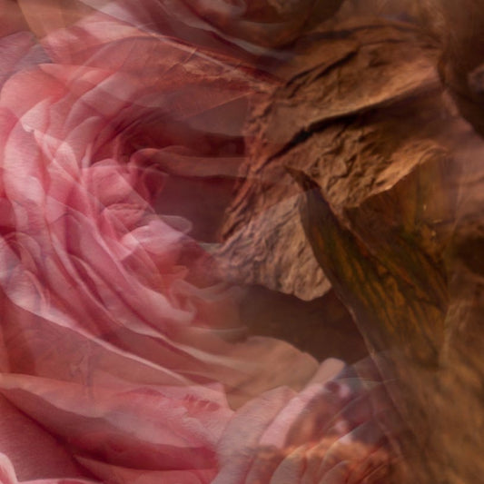Eclectic Dr Vranjes Rosa Tabacco car perfume refill featuring abstract artistic layers of pink rose petals and tobacco