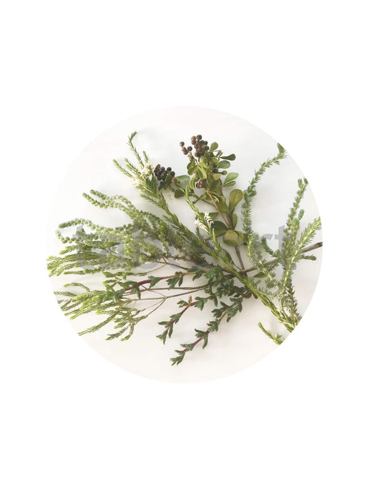 Eclectic round placemat featuring a green botanical fynbos illustration on a smooth white satin finish paperboard.