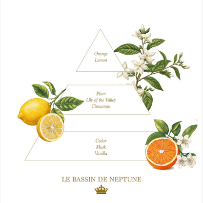 Eclectic La Savonnerie Royale Le Bassin de Neptune candle fragrance pyramid with citrus, floral, and musk illustrations