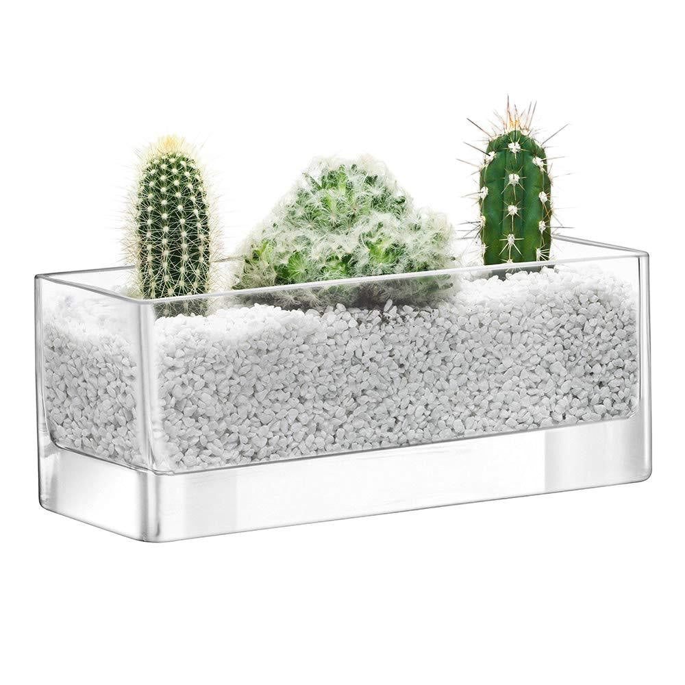 Eclectic LSA International modular clear glass rectangular centrepiece tray filled with white stones and three cacti.