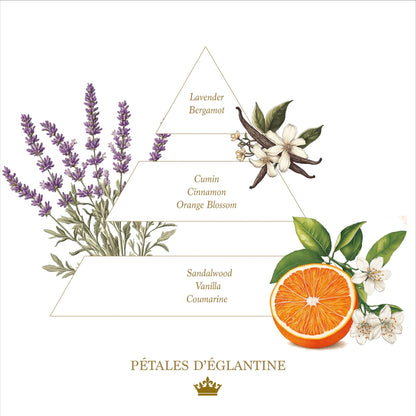 Eclectic fragrance pyramid illustration for Petales d'Eglantine featuring lavender, orange blossom, and sandalwood.