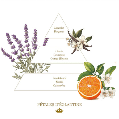 Eclectic Pétales d’Églantine fragrance pyramid illustration featuring lavender, orange blossom, and citrus botanical art