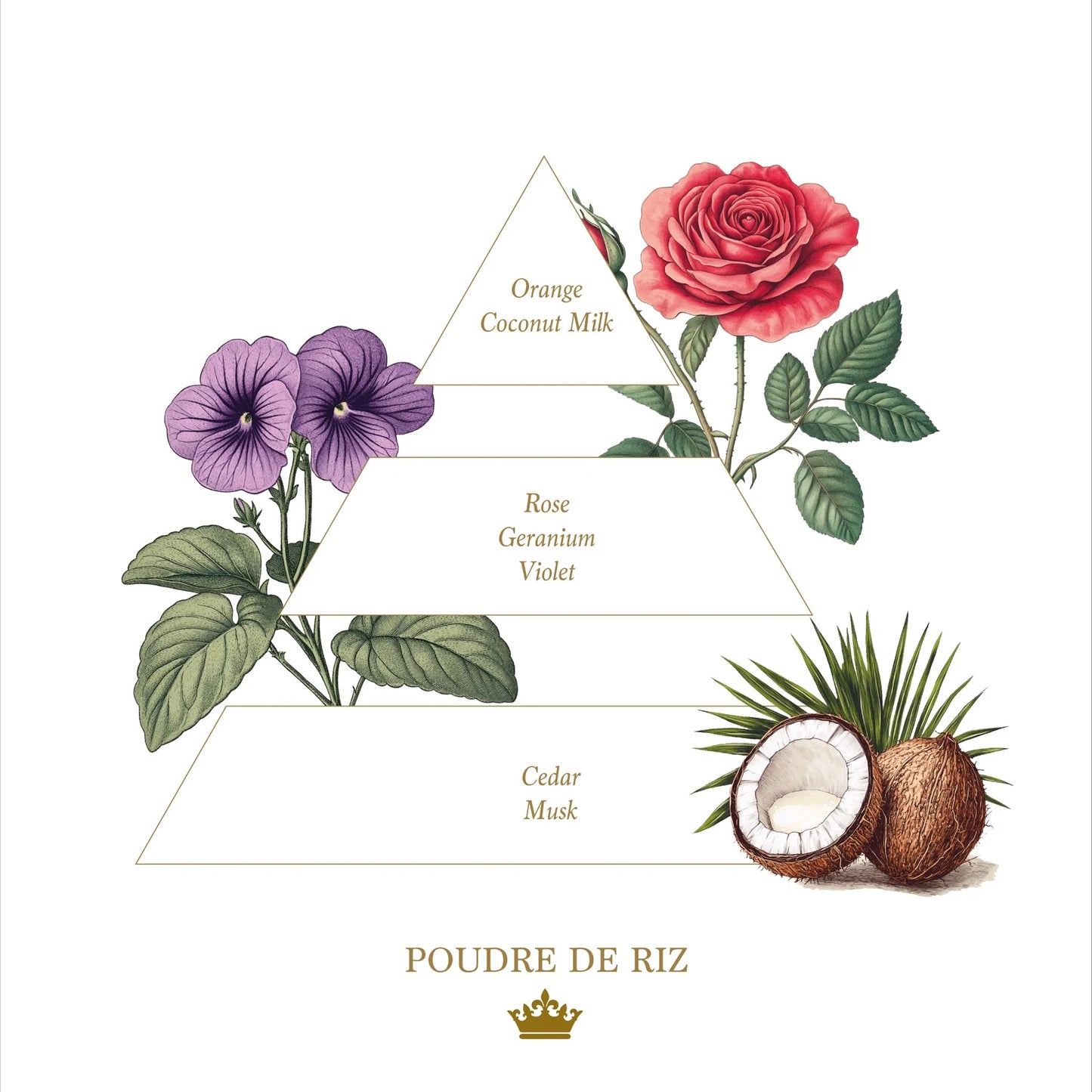 Eclectic La Savonnerie Royale Poudre de Riz soap fragrance pyramid illustration with floral and coconut botanical art
