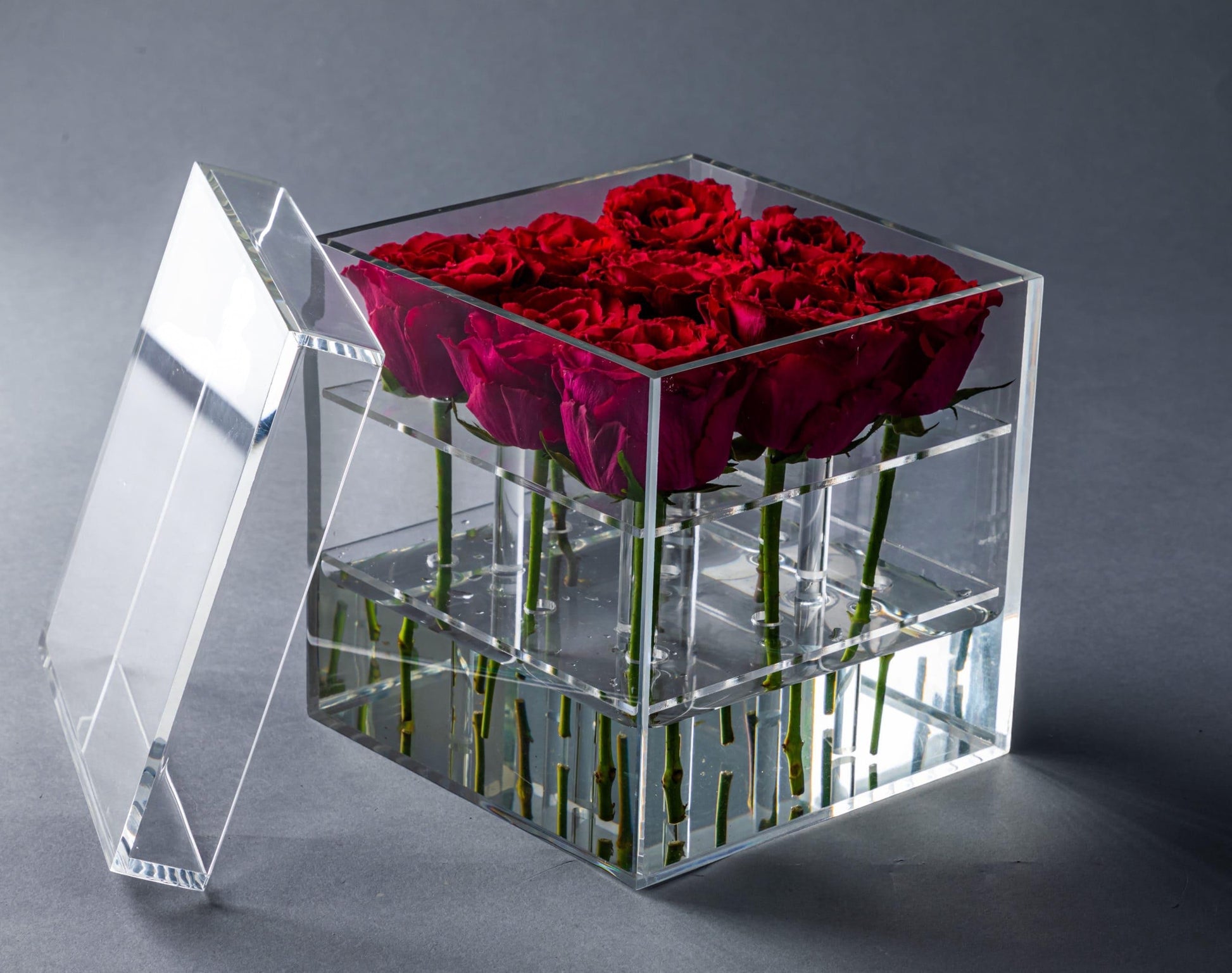 Eclectic rose box featuring deep red roses arranged in a clear acrylic square container with a removable lid.