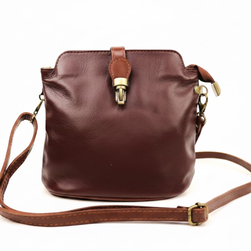 Eclectic Roma leather crossbody bag in dark brown with tan trim, gold hardware, and a decorative buckle detail.