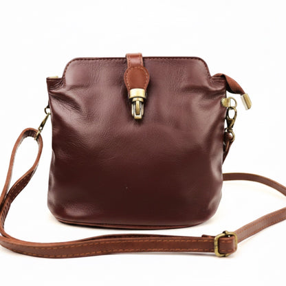 Eclectic Roma leather crossbody bag in dark brown with tan trim, gold hardware, and a decorative buckle detail.